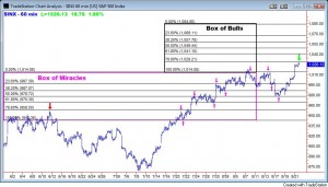 box-of-bulls-2 box-of-bulls-2